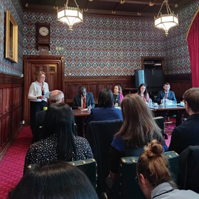 Representing ARCS at the APPG on Diversity iN STEM careers