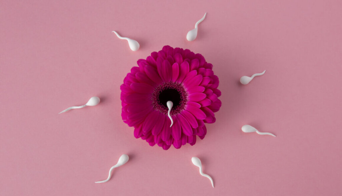 top-view-spermatozoa-pink-flower