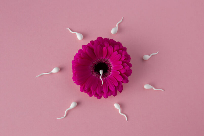 top-view-spermatozoa-pink-flower